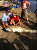Facebook - Opera 31.08.2011 131406-1